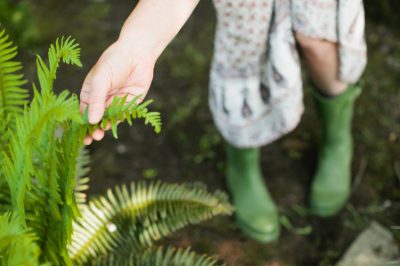 Questi compiti nell'orto sono necessari in inverno