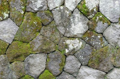 Limitare l'orto una volta all'anno - Come fare