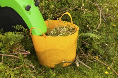 Strumenti da giardino e automazione - trituratori in prova