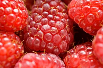 Poi goderle a lungo, Le nocciole - prima raccoglierle e asciugarle