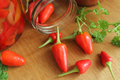 Essiccazione delle foglie di lampone per un tè aromatico