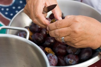 Essiccazione dei fiori di sambuco - per un sano tè invernale