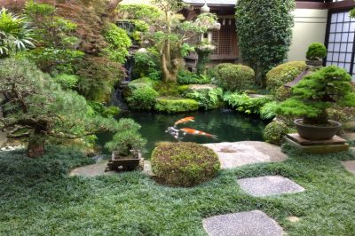 Consigli per un giardino giapponese - Come creare un giardino giapponese