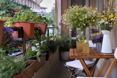 Fare il proprio compost per il balcone