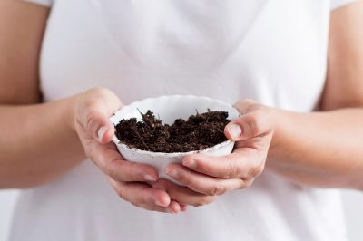 Steaming Compost - Why and How?