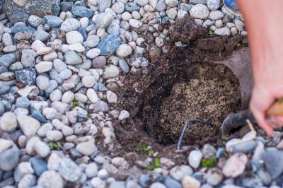 Erbe e pietre - una simbiosi collaudata nel tempo