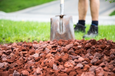 Lavamulch - Salto quantico per il giardino hobbistico e trucchi