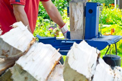 Muffa in serra - cause e prevenzione