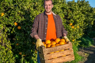 Lotta all'oidio con rimedi naturali