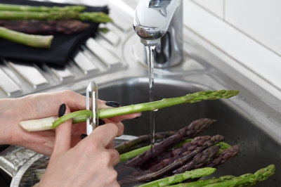 Quale terriccio è adatto alle fragole?