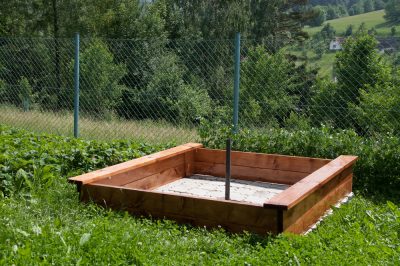 Quanto è pericolosa la muffa nella sandbox?