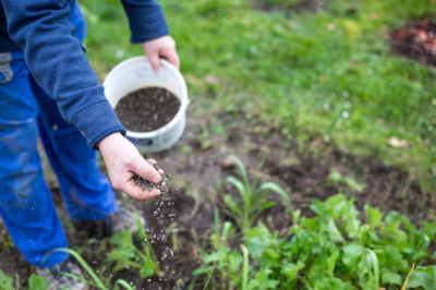 La giusta protezione invernale per le piante di frutta e verdura