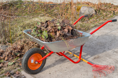 Marzo: Inizio della nuova stagione di giardinaggio