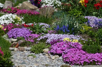 Giardinaggio comodo nell'orto: in alto con il letto rialzato