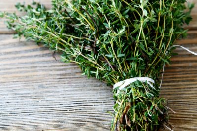La thuja è velenosa per gli uomini e gli animali!