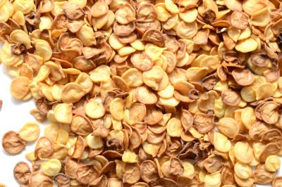 Qual è la differenza tra peperoncini e peperoncini?