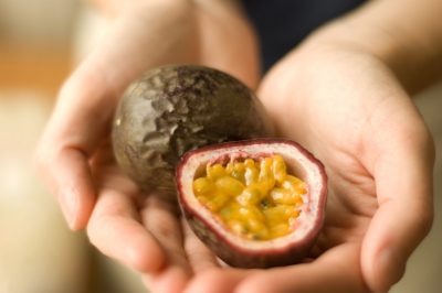 Qual è la differenza tra ginepro e albero di sade?