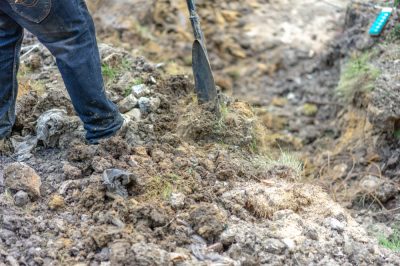 E' utile scavare in un giardino troppo cresciuto?