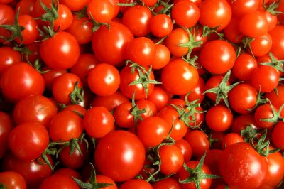 Le migliori piante per il giardino Zen - una selezione selezionata a mano